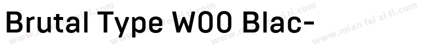 Brutal Type W00 Blac字体转换